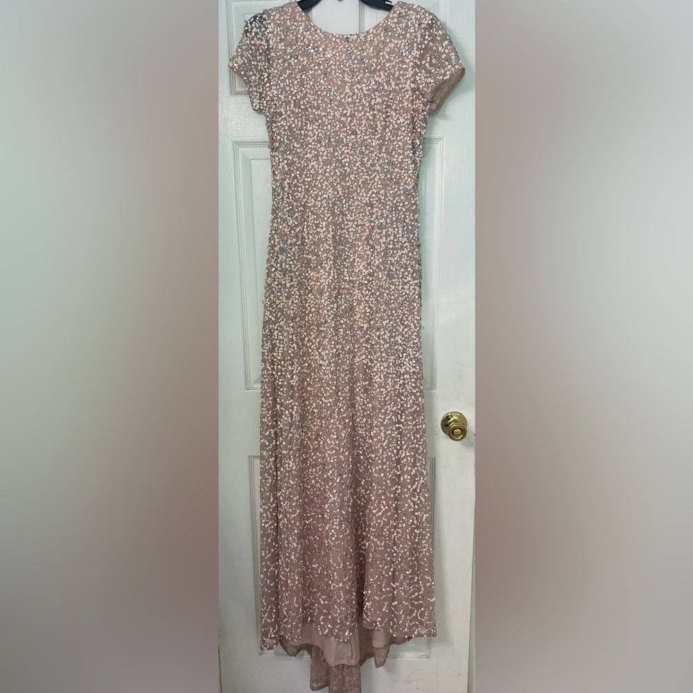 Adrianna Papell Short Sleeve Beaded Gown - Blush, Size 6